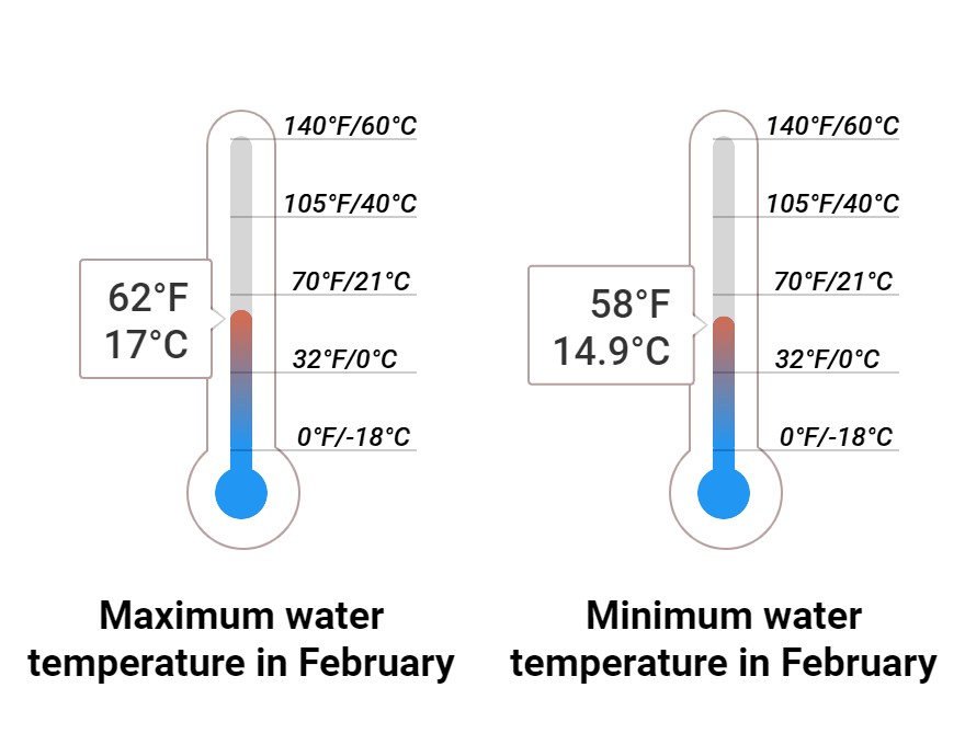 Average Sea temperature